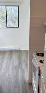 1-Bedroom Fully Renovated close to SkyTrain (Lougheed) - Photo 4