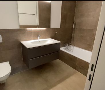 Locataire subséquent par 1.4. pour 3,5 Jour. appartement neuf à 5736 Burg-Menziken,AG - Foto 6