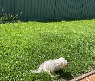 Caroline Springs - Photo 6