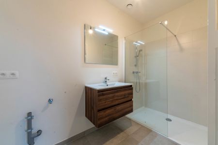 Schelle - Appartement - Foto 4