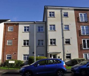 Livingston House, Thursby Walk, Exeter, EX4 - Photo 2