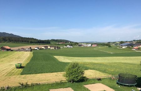 Appartement 2.5 pièces très lumineux à Rossens - Photo 5
