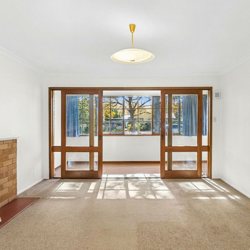 Neat & Tidy 3 Bedroom home with large backyard! - Photo 1