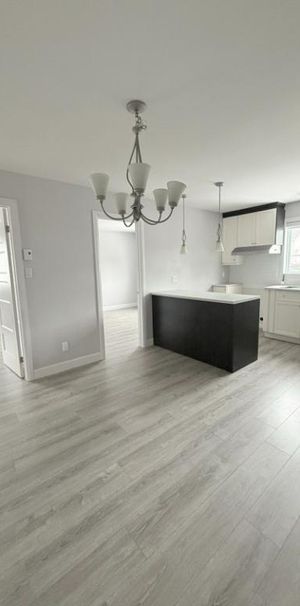 Beau grand 5 1/2 à louer, 2 stationnements + rangement privé, dispo maintenant - Photo 1