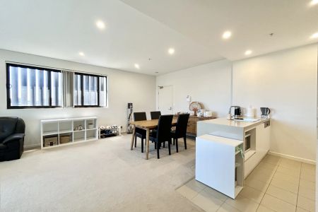Near New Contemporary Two Bedroom Apartment - Photo 4