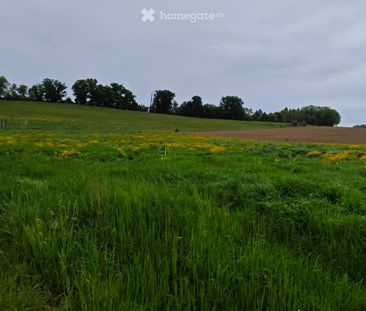 240 m² - Photo 4
