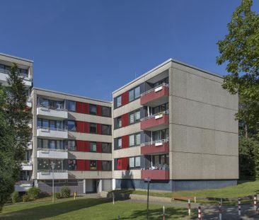 Demnächst frei! 3-Zimmer-Wohnung in Siegen Weidenau - Photo 1