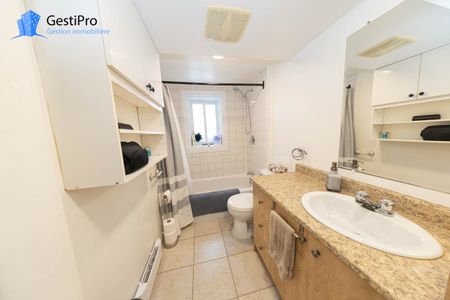 123 52e rue Est - Photo 5