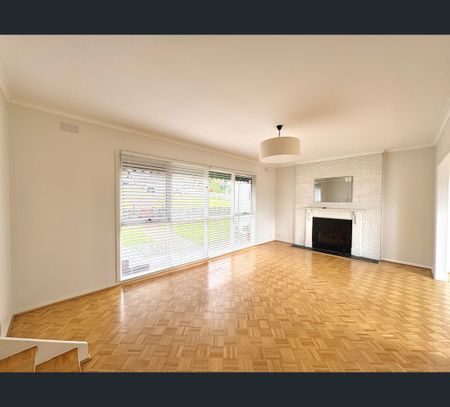 45 Cara Road, Highton, Vic 3216 - Photo 5
