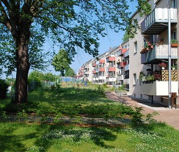 Hell und freundliche 2-Raum-Wohnung mit Balkon - Foto 1