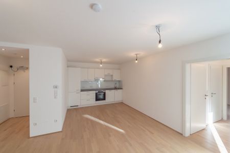 Six in the City: Premium 2-Zimmer Apartment mit Balkon!! BESTLAGE direkt beim Haus des Meeres - Photo 2