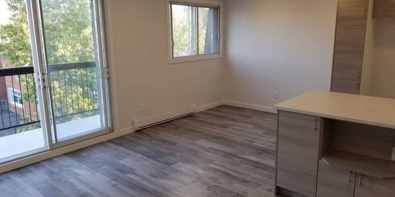 Nouveau 4 1/2 à Louer Greenfield Park - Photo 3