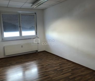 Schöne, zentrale Mietwohnung in Jennersdorf - Foto 2