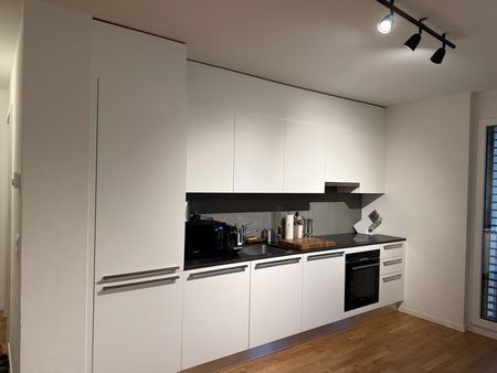 2.5 Zimmer, 55 m², 1. Stock - Foto 4