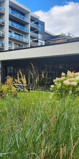 Cession de bail a court terme incluant le mois décembre gratuit. - Photo 1