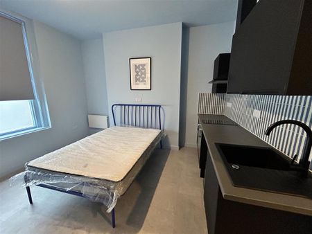 1 bedroom flat to rent - Photo 2