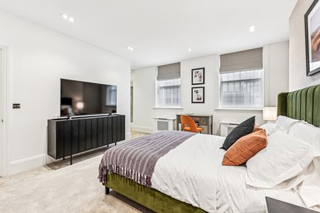 Halkin Street, London, SW1X - Photo 2