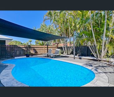 29 Pine Avenue, Tewantin, Qld 4565 - Photo 3