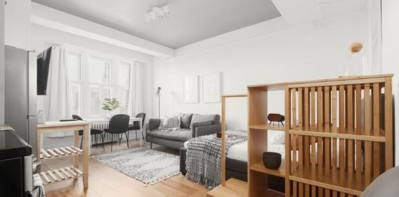 Loft entièrement meublé à louer Montcalm / Saint-Sacrement juillet 2026 - Photo 2