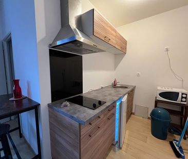 Location Appartement 1 pièce 21m² - Photo 3