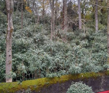 2.5 Zimmer, 45 m², 1. Stock - Foto 1