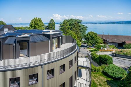 Magnifique attique de 3.5 pièces avec terrasse et vue sur le lac - Photo 3