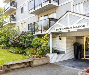 Buckingham Manor — 1 Bedroom available at 967 Collinson Street, Vic... - Photo 3