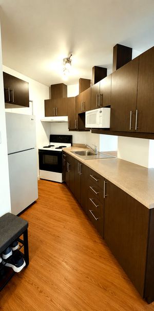 Grand 3½ — 49 Rue King Ouest, App. 203 - Photo 1
