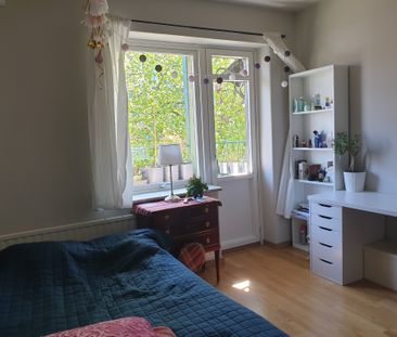 Skomakaregatan, Lund - Photo 5