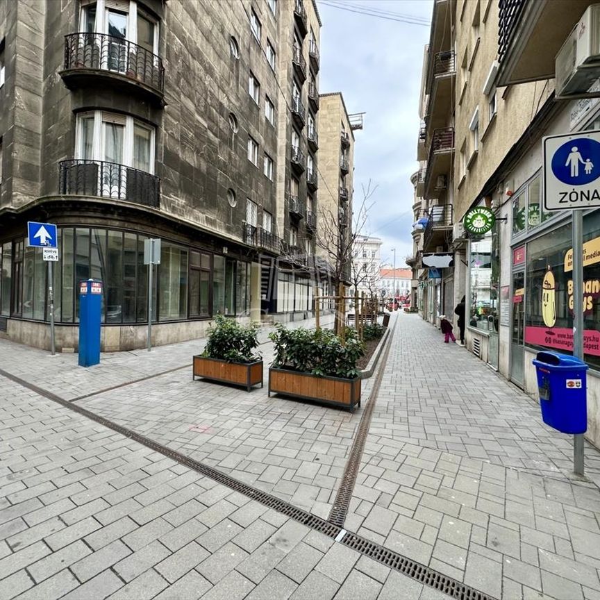 Kiadó átlagos állapotú lakás - Budapest VI. kerület - Fotó 1