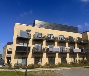 Kobbervej 6H, st - Photo 5