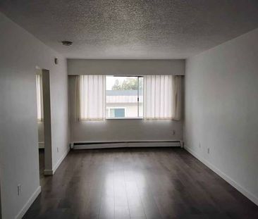 Studio Apartment For Rent - Photo 3