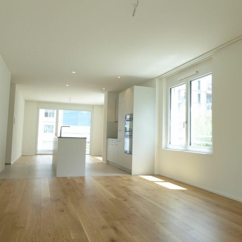 4 1/2-Zimmer-Wohnung - Neubauprojekt "Rheincity" - Foto 1
