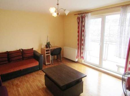 Apartament 1 camera, 46 mp, decomandat, loc de parcare, zona strazii Frunzisului - Fotografie 2