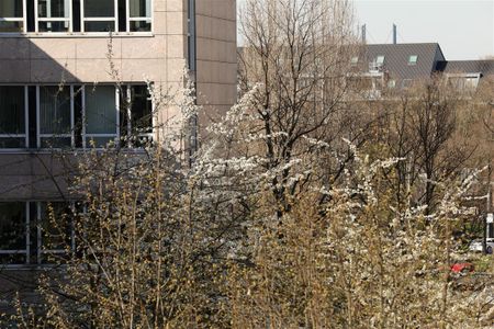 Immobilien-Richter: Komplett ausgestattete 2-Zimmer-Wohnung, MÖBLIERT - Photo 5