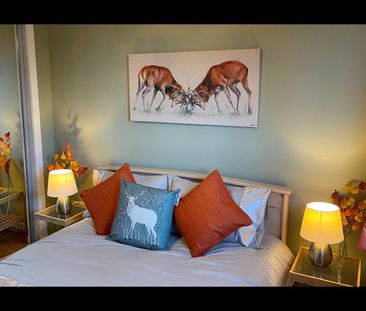 1 Bed Flat, Crimon Place, AB10 - Photo 2