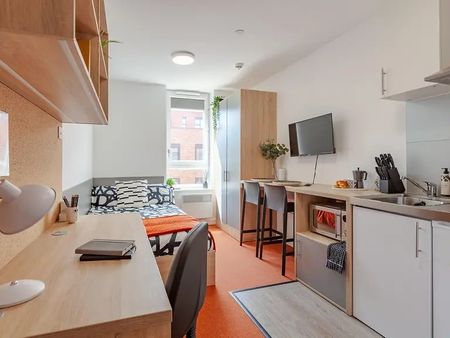 Studio Flat, Globeworks, B19 - Photo 4