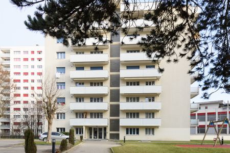 Appartement spacieux et lumineux - Photo 5
