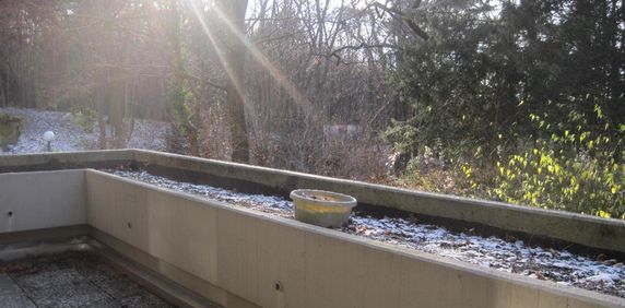 Am Rupenhorn 7 D, 14055 Berlin OT Westend - Photo 2