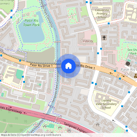 115 Pasir Ris Street 11 (510115), Singapore