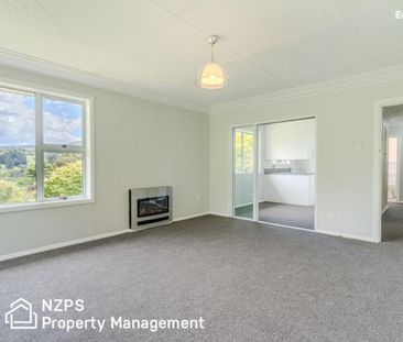 41 Montague Street, North East Valley - Photo 2