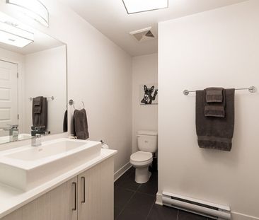 Avenue de l'Hôtel-de-Ville - Photo 5