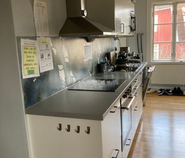 Selma Lagerlöfsgatan, Jönköping - Foto 4