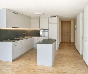 1 Zimmer, 78 m², EG - Foto 2