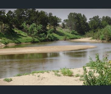 398 Anambah Rd, Anambah, NSW 2320 - Photo 4