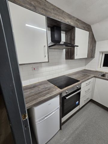 1 Bed Flat, Coventry Road, B10 - Photo 4