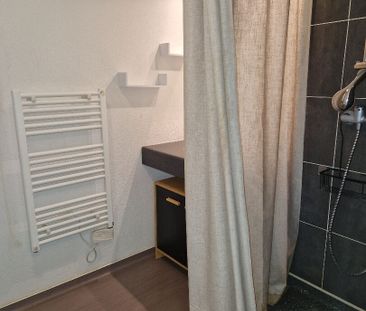 Location Appartement 1 pièce 21m² TALENCE 33400 - Photo 3