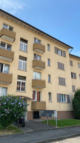 8952 Schlieren - Photo 5