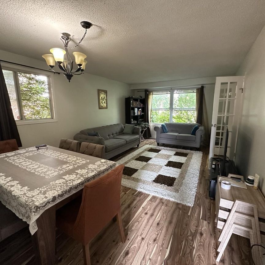 For Lease - 257 London Road, Newmarket, Ontario - Photo 1