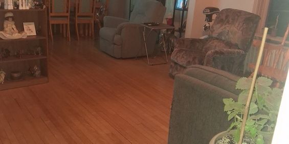 Grand Appartement Tranquille - Photo 3